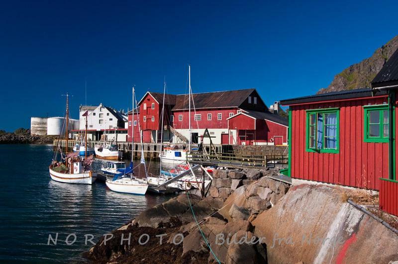 Lofoten Cabin And Kayak Rental Стамсунд Екстер'єр фото